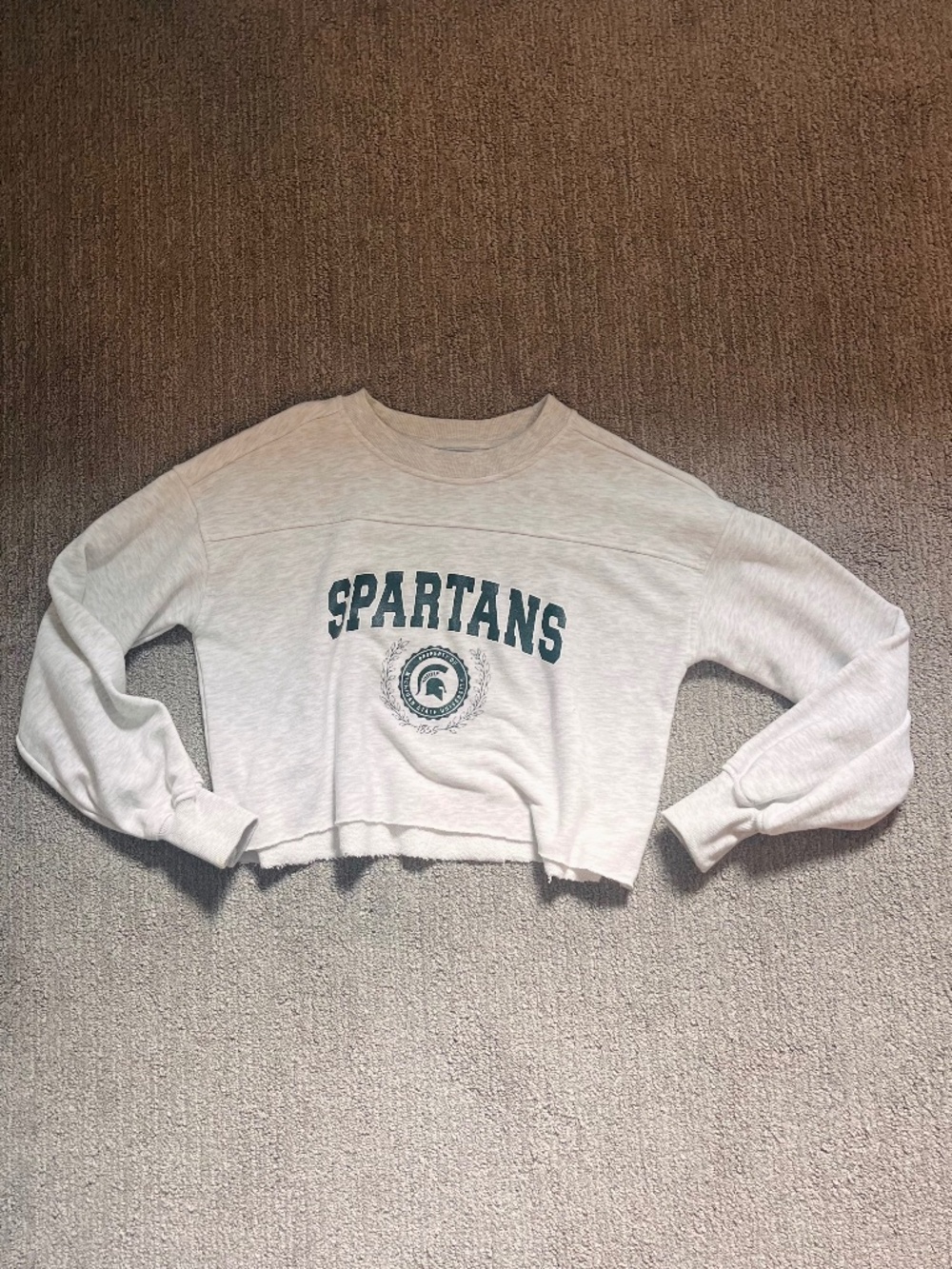 Women’s Grey Cropped Spartans Crewneck XS